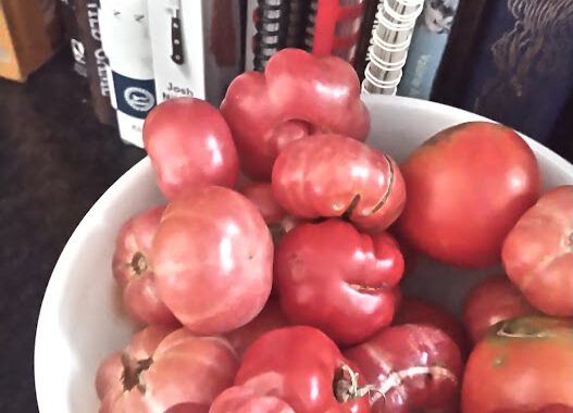 bowl of tomatoes